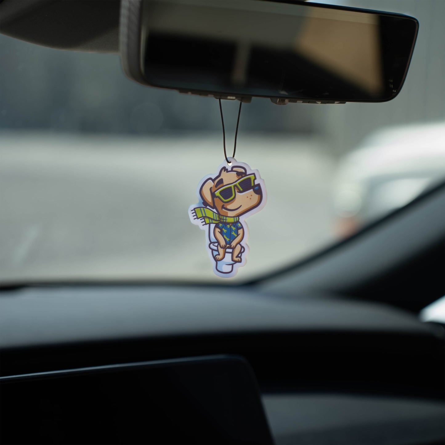 Way Cool Air Refreshers (Pack of 5)