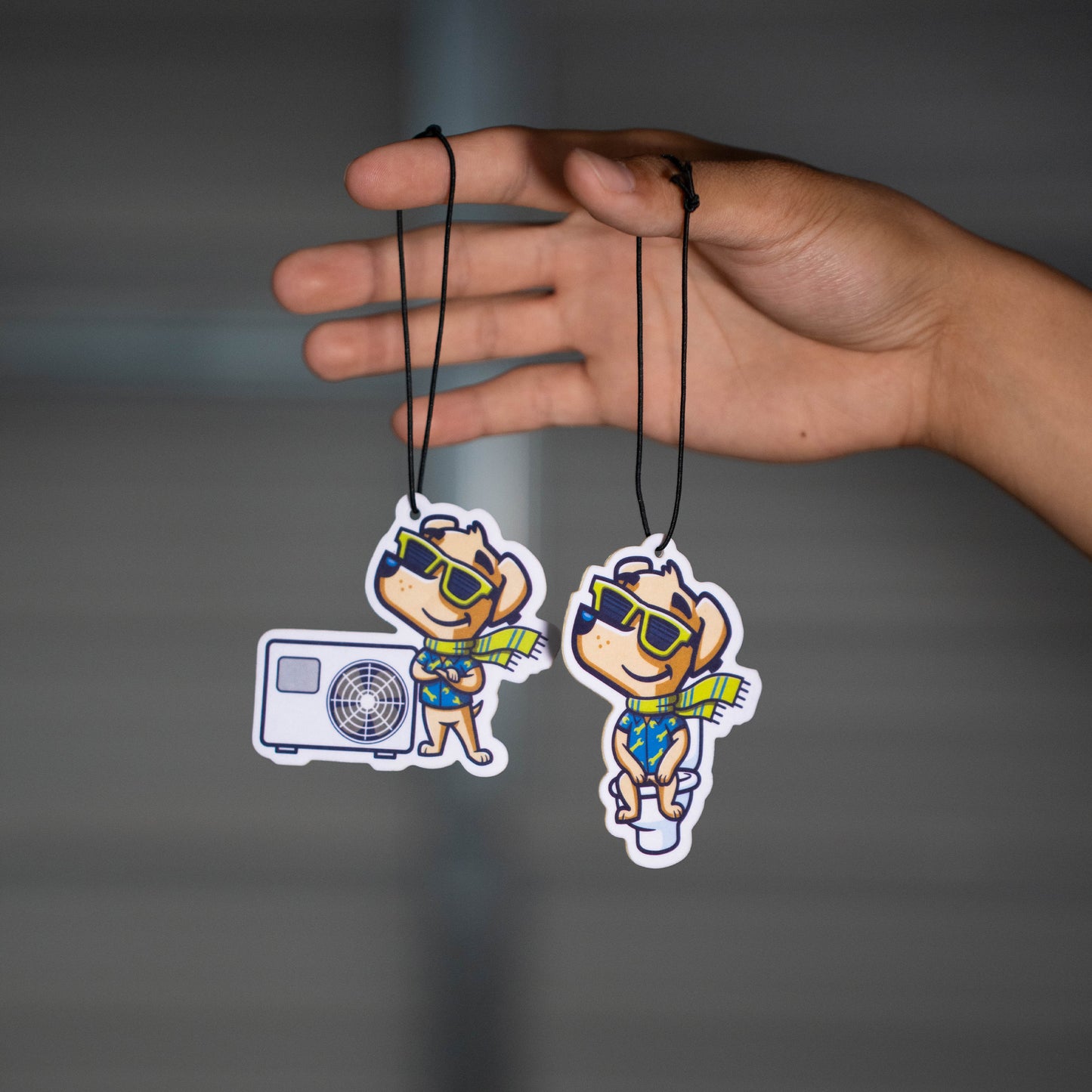 Way Cool Air Refreshers (Pack of 5)